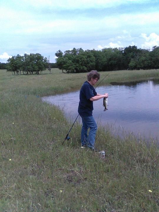 Playing Catch and Release
